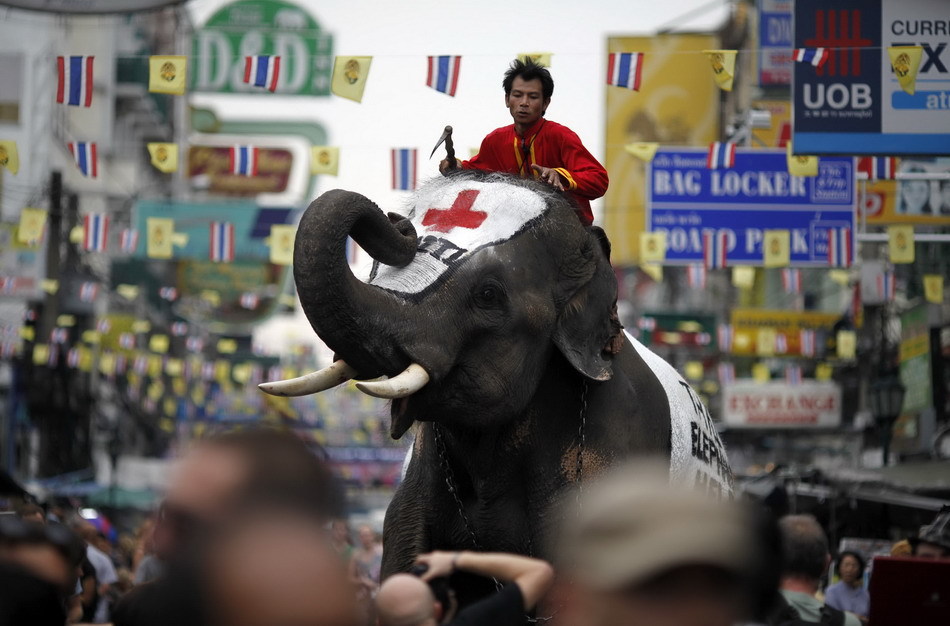泰国大象上街为海地灾区募捐