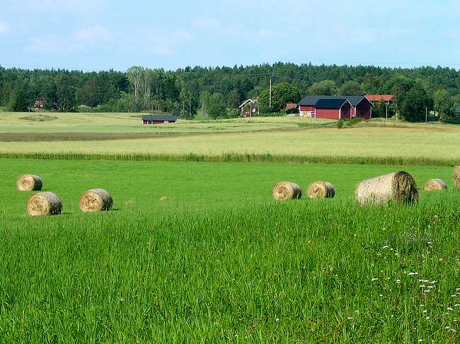 震撼！瑞典的农村太美了