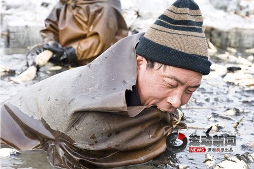 挖藕工人冰天雪地工作照震撼网友心灵
