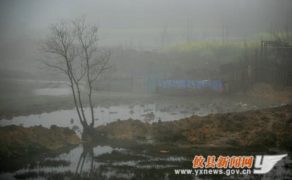 刘浴辉摄影：乡晨印象