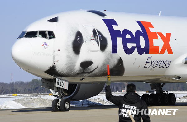 大熊猫“泰山”启程回国