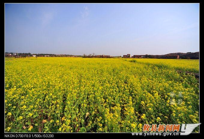 徐建新作品：踏春攸县