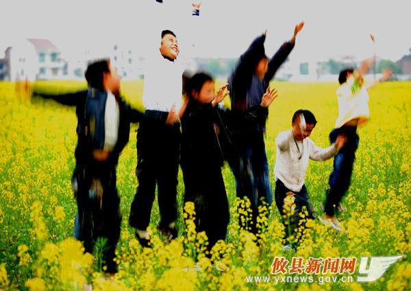 魅力菜花坪