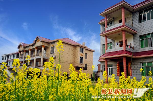 徐建新作品：魅力菜花坪