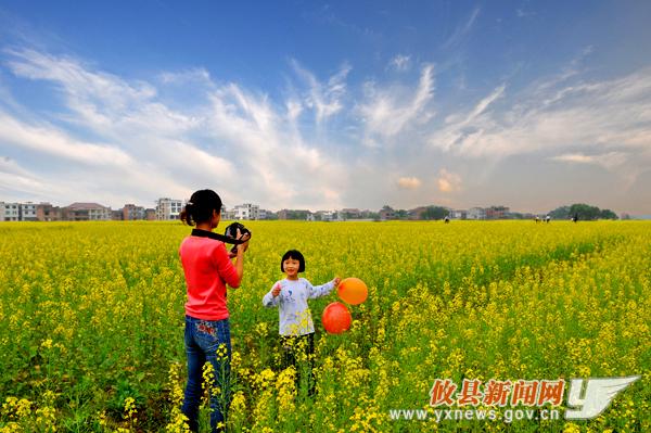 徐建新作品：魅力菜花坪