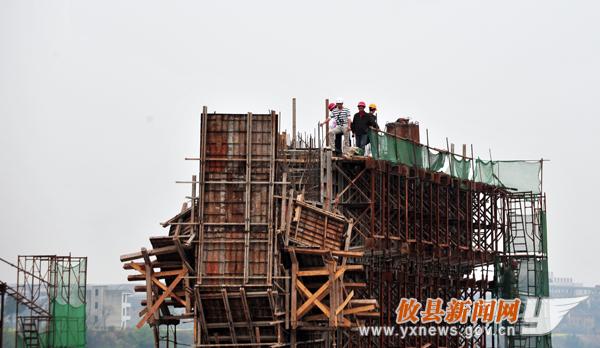 徐建新作品：魅力菜花坪