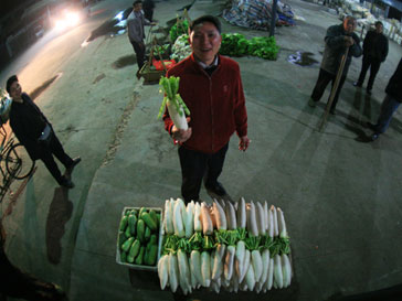 刘浴辉：菜农（组图）