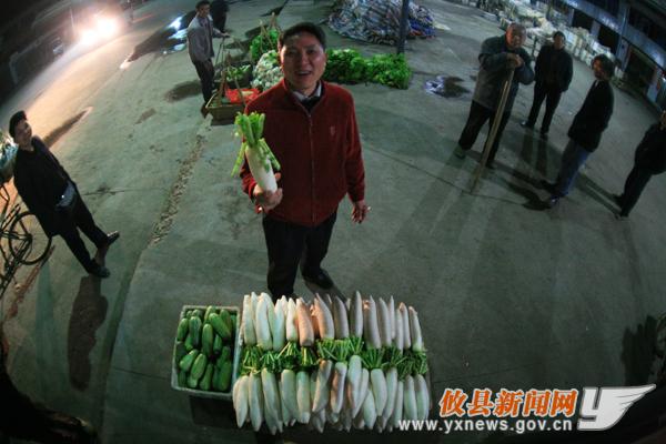 刘浴辉：菜农（组图）