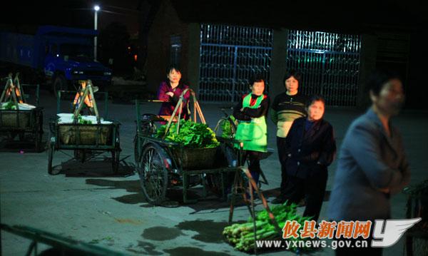 刘浴辉：菜农（组图）