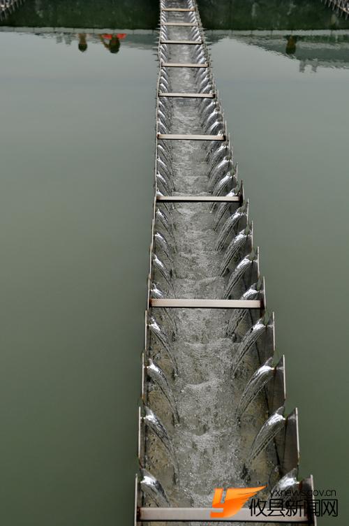 水，生命之源