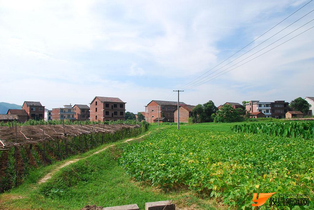 “魅力菜花坪”--田园风光篇