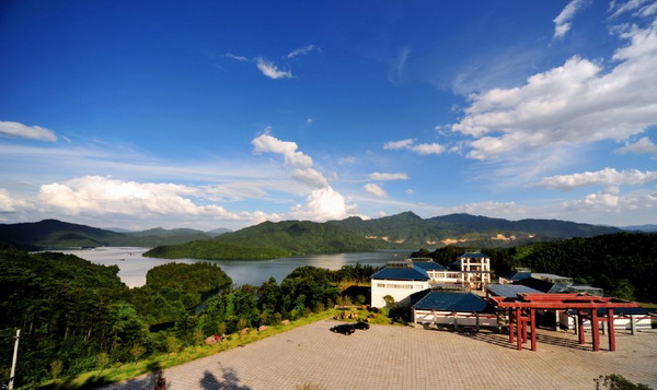 徐建新：夏日酒仙湖