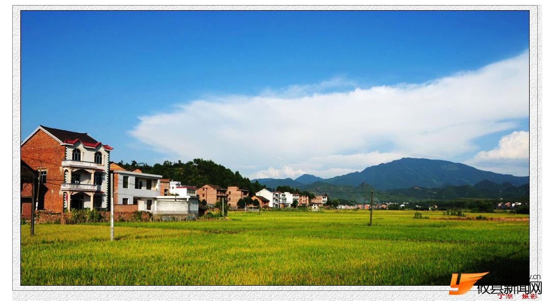 魅力莲塘坳