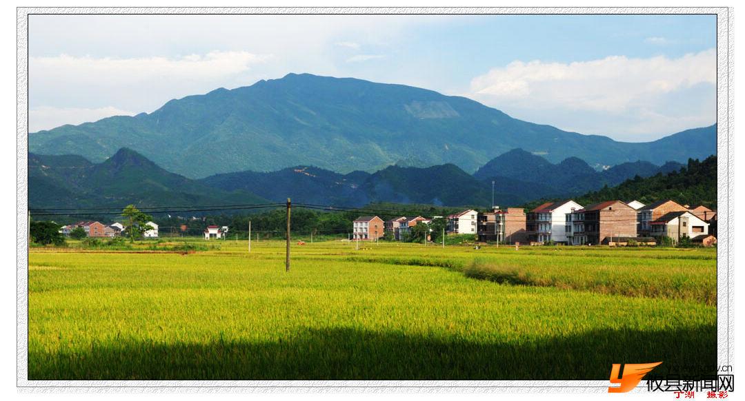魅力莲塘坳