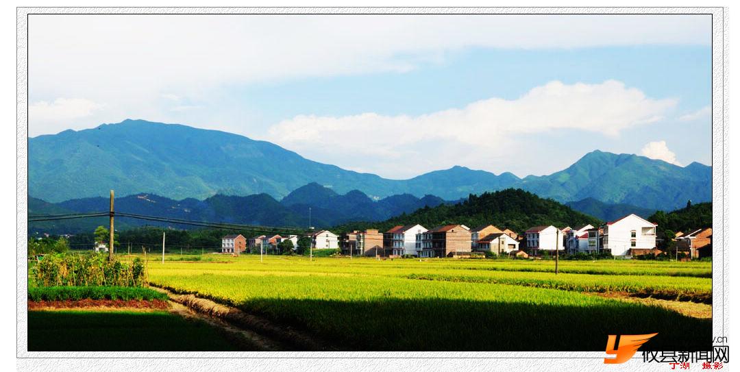 魅力莲塘坳