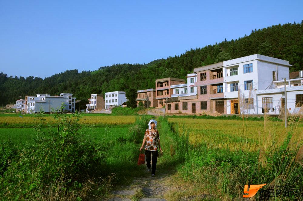 攸县皮影之乡槚山的魅力