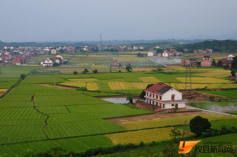 美丽沙陵陂