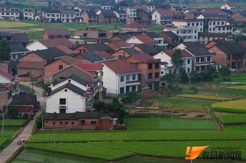 美丽沙陵陂