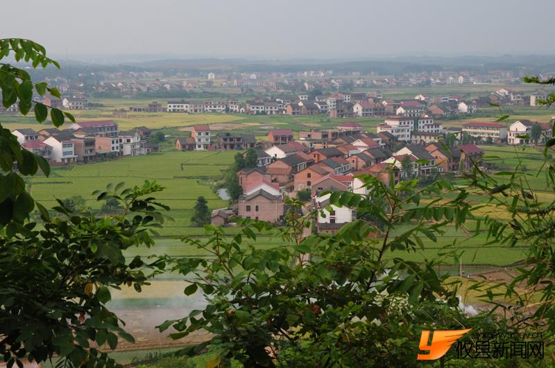 美丽沙陵陂