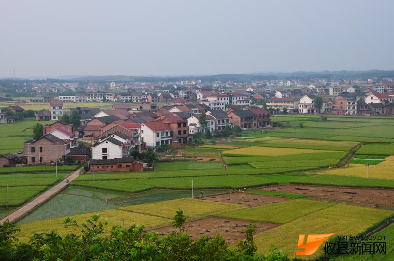 美丽沙陵陂