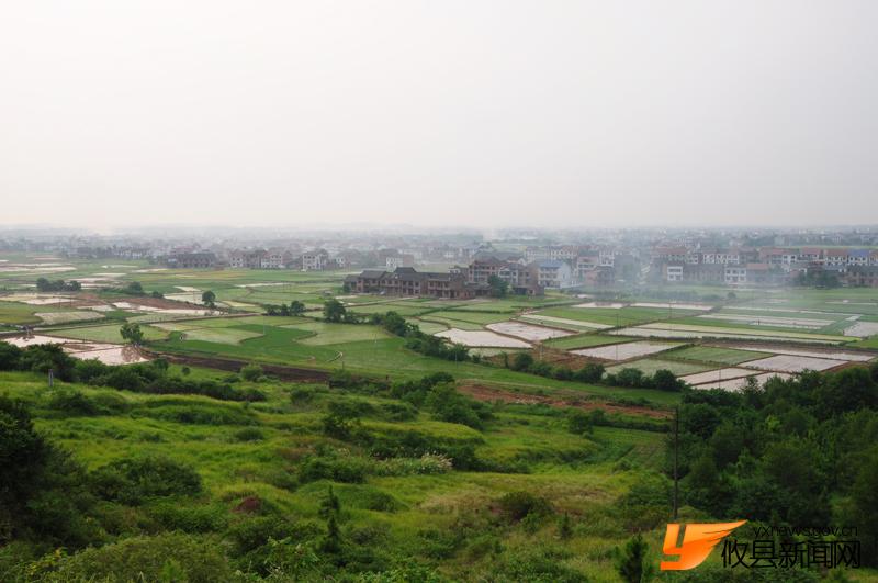 美丽沙陵陂