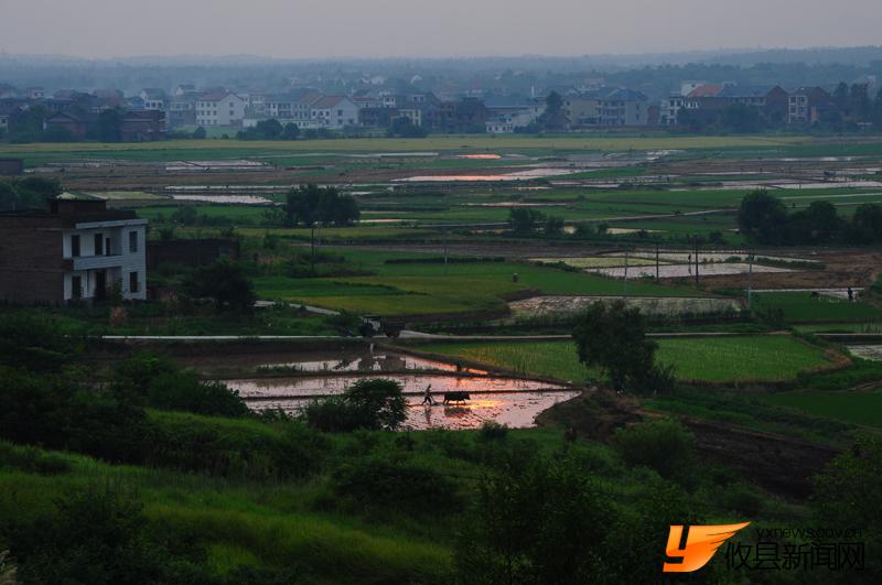 美丽沙陵陂