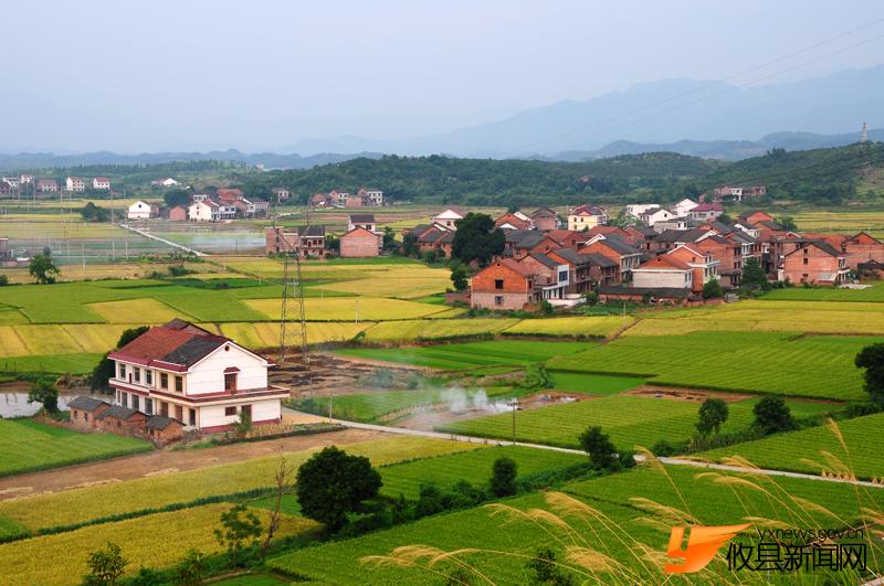 美丽沙陵陂