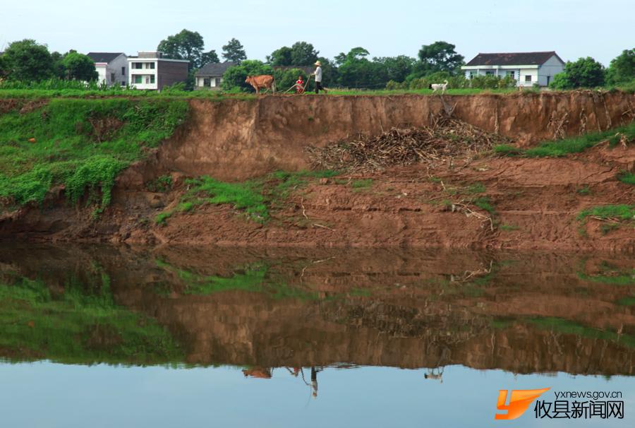 那河，那岸，那人，那狗（组图）