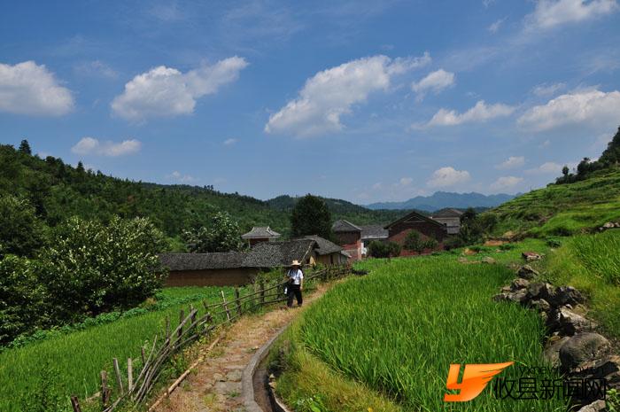 秀美鸾山