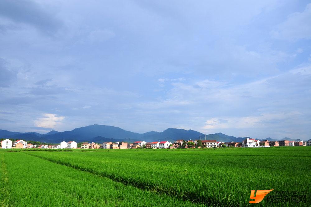 现代农家莲塘坳乡春塘村