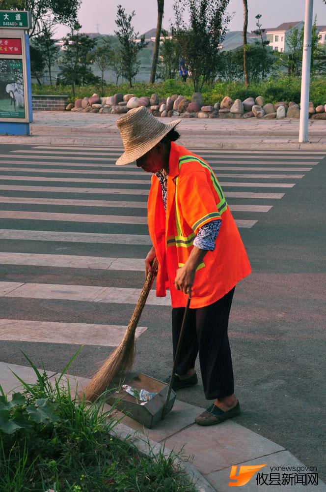 勤劳的城市“美容师”