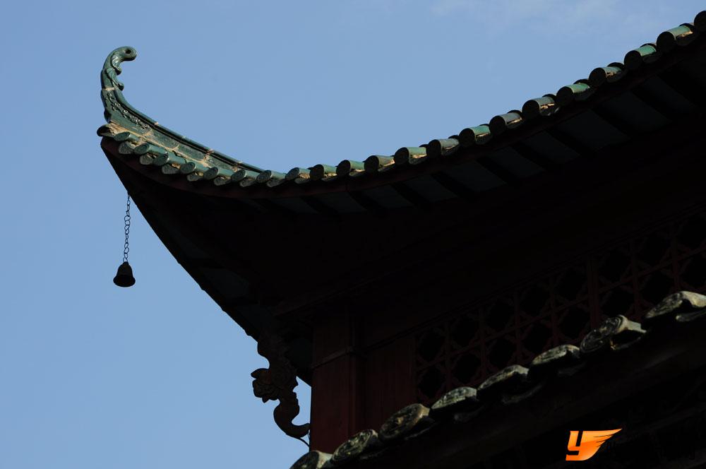 游“阳升观”