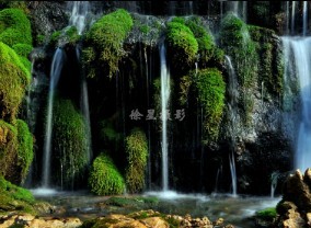 情系仙人桥