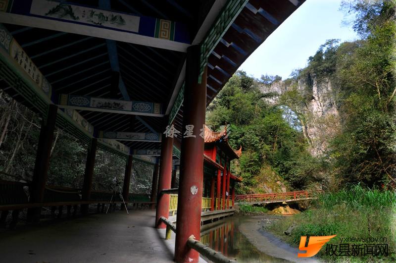 情系仙人桥