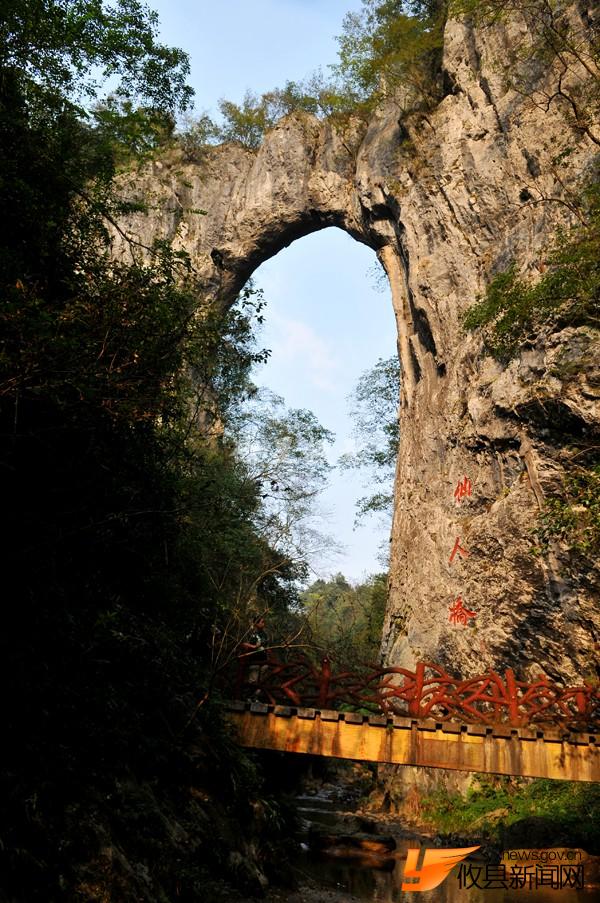 情系仙人桥