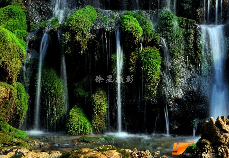 情系仙人桥