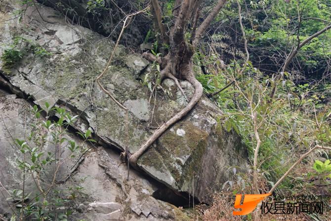 清泉石上流