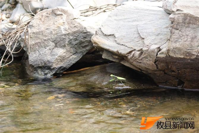 清泉石上流