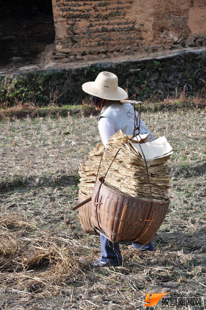大山里的女人