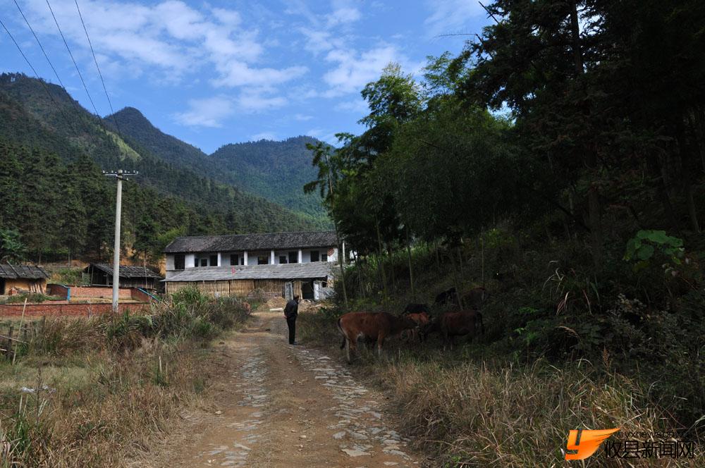 银坑山里的清新气息
