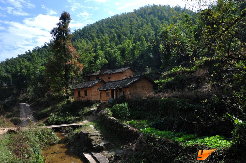 银坑山里的清新气息