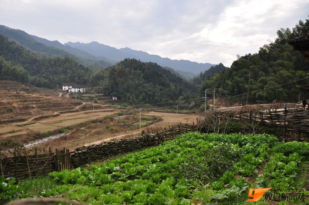 银坑山里的清新气息