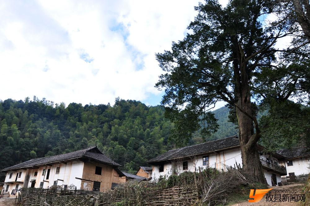 银坑山里的清新气息