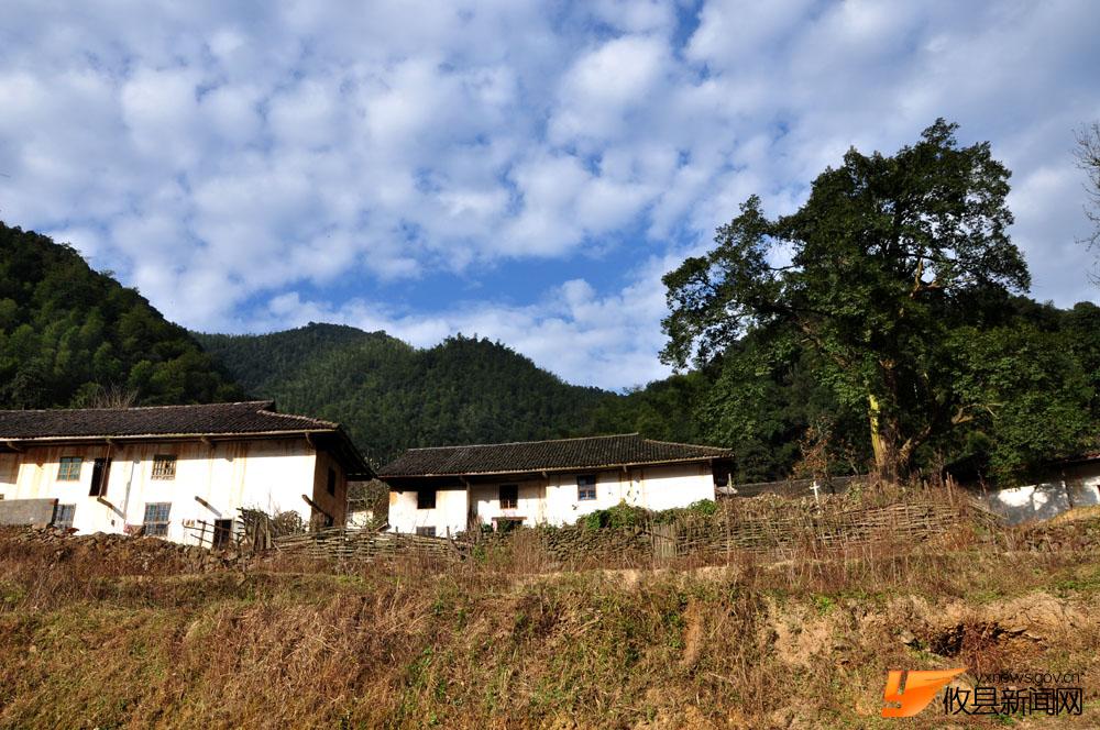 银坑山里的清新气息