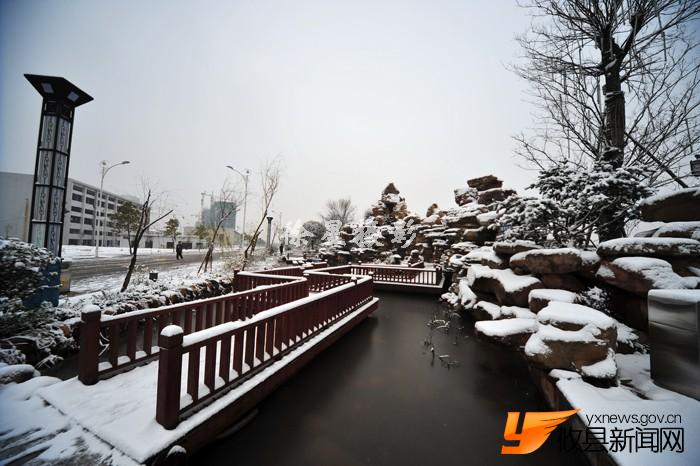 美丽的滨江大道雪景