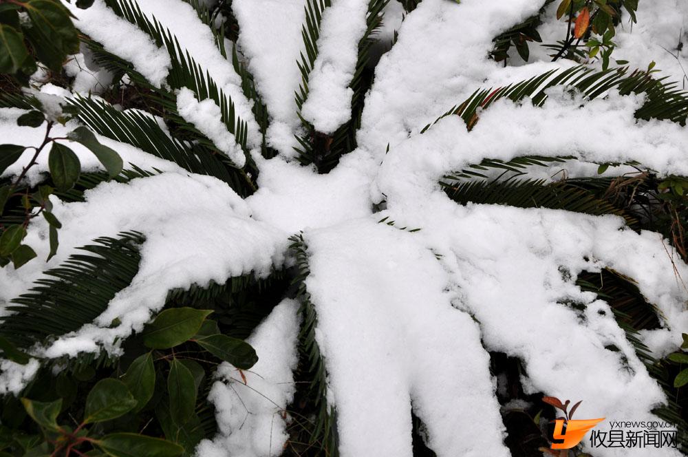 冰雪沿江风光带