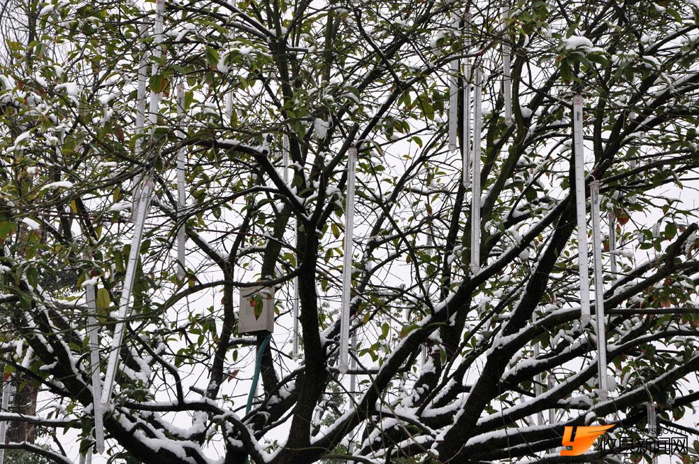 冰雪沿江风光带