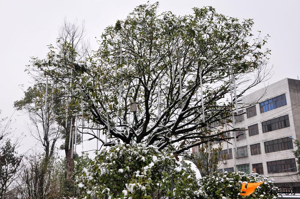 冰雪沿江风光带