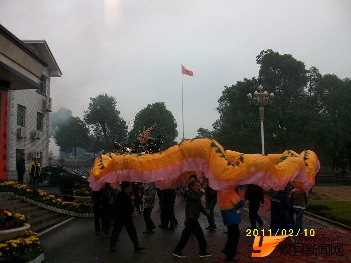舞龙灯庆新春