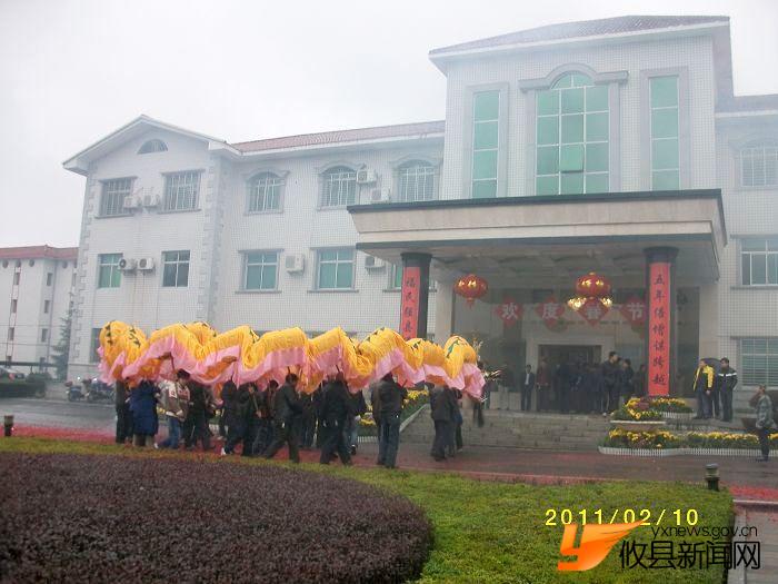 舞龙灯庆新春